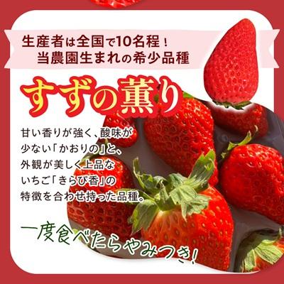 ふるさと納税 掛川市 【2027年発送先行受付】静岡県産いちご「紅ほっぺ+すずの薫り」6P 約1.6kg(約270g×6) |  | 02