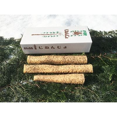 ふるさと納税 大田原市 大田原産 自然薯(カット品)約600g
