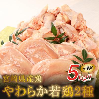 ふるさと納税 木城町 宮崎県産やわらか若鶏2種5kg K16_0016_3