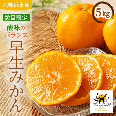 ふるさと納税 八幡浜市 あまーい温州みかん(早生みかん)5kg[数量限定][C56-6]