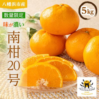ふるさと納税 八幡浜市 あまーい温州みかん(南柑20号みかん)5kg[数量限定][C56-7]