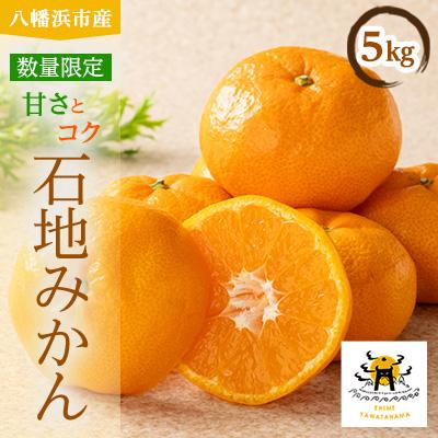 ふるさと納税 八幡浜市 あまーい温州みかん(石地みかん)5kg[数量限定][C56-8]