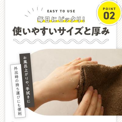 ふるさと納税 泉佐野市 泉州タオル「普段使いにぴったりのミニバス