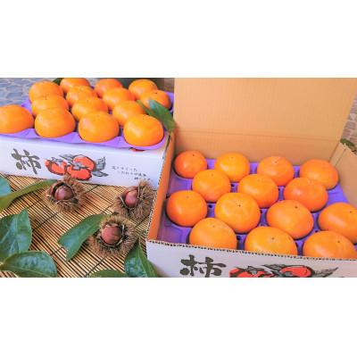 ふるさと納税 高島市 実生庵の近江今津産富有柿 2L 約3.0kg 1箱 14〜16玉#90