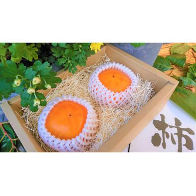 ふるさと納税 高島市 高級ブランド 実生庵の近江今津産富有柿パシモ 4L 1箱 2個入#91