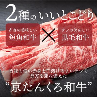 ふるさと納税 京丹後市 某グルメ☆テレビ番組で人気の京たんくろ和牛のすきやき・しゃぶしゃぶ(冷凍)お肉500g 2〜3人前