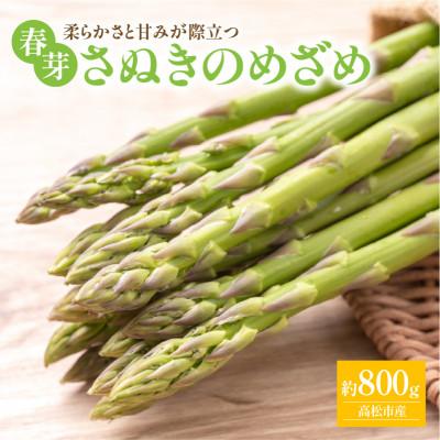 ふるさと納税 高松市 [先行受付2027年]さぬきのめざめ春芽 約800g