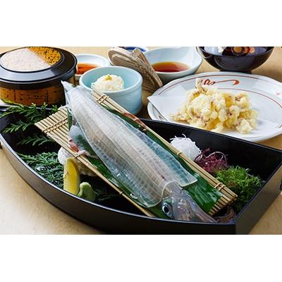 ふるさと納税 唐津市 河太郎呼子店いか活造り定食お食事券(1名様分)