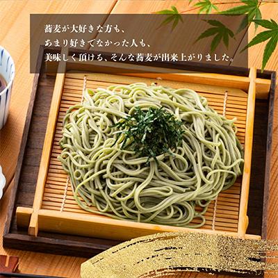 サルート パンフレット 12冊 オマケトレー付き y-