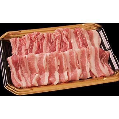 ふるさと納税 高山市 飛騨豚 国産 豚肉 しゃぶしゃぶ セット ロース 300g バラ 400g