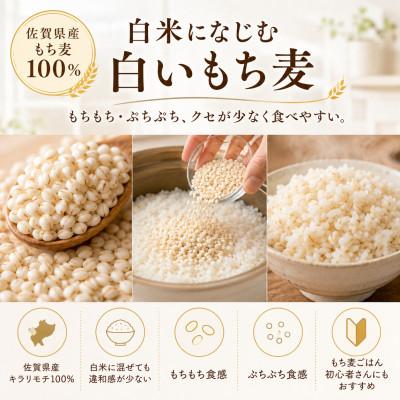 ふるさと納税 江北町 佐賀県産 もち麦 キラリモチ 2kg(1kg×2袋)白いもち麦 食物繊維 五つ星お米マイスター厳選 |  | 01