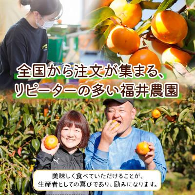 ふるさと納税 本巣市 《訳あり》富有柿3kg(12〜16個入り)　福井農園　不揃い |  | 03