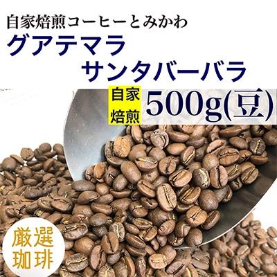 ふるさと納税 魚津市 [豆]グアテマラ サンタバーバラ:500g(自家焙煎コーヒーとみかわ)