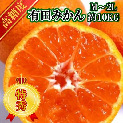 ふるさと納税 湯浅町 [先行受付]有田みかん[特秀品M〜2Lサイズ高糖度]10kg! 10月以降順次発送