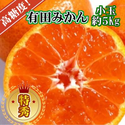 ふるさと納税 湯浅町 [先行受付]有田みかん[特秀品小玉S〜M、高糖度]5kg! 10月以降順次発送