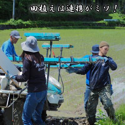 ふるさと納税 酒田市 無洗米はえぬき　白米5kg×2袋　合計10kg |  | 01