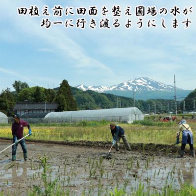 ふるさと納税 酒田市 無洗米はえぬき　白米5kg×2袋　合計10kg |  | 02