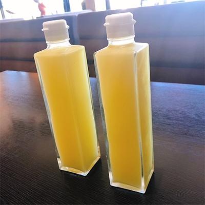 ふるさと納税 南国市 ゆずしぼり 300ml×2本