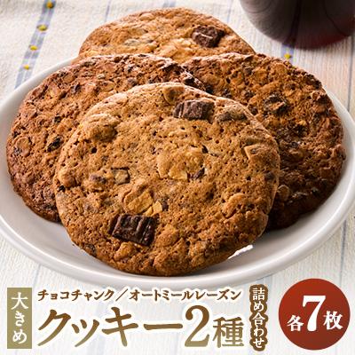 ふるさと納税 東海村 チョコチャンククッキー&amp;オートミールレーズンクッキーの詰め合わせ(2種×7枚 計14枚)