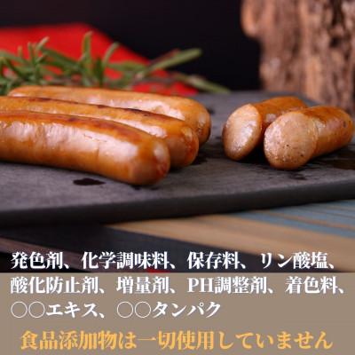 ふるさと納税 瑞浪市 食べ比べ10種  無添加ハム ソーセージ 冷凍 お取り寄せ ご自宅用 小パック 手作り中山道ハム |  | 01