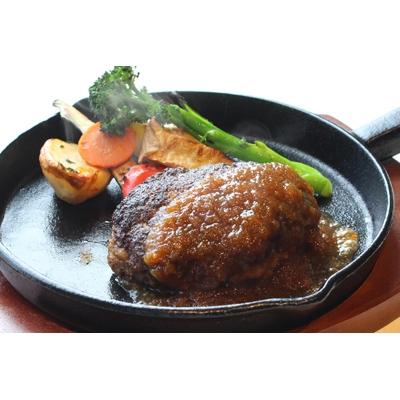 ふるさと納税 白石市 ジューシーでヘルシー!「みのりハンバーグ」5個セット