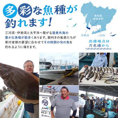 ふるさと納税 南知多町 片名漁協　釣り船　クーポン券　9,000円 |  | 01