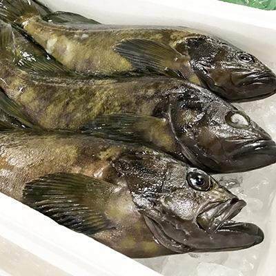 ふるさと納税 日出町 日出産とらふぐ鍋・くえ鍋の味くらべセット(3〜4人前) |  | 03