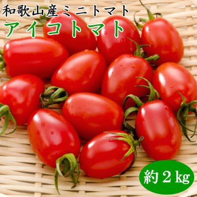 ふるさと納税 広川町 [2026年1月出荷分]和歌山産ミニトマト「アイコトマト」約2kg(S・Mサイズおまかせ)(広川町)