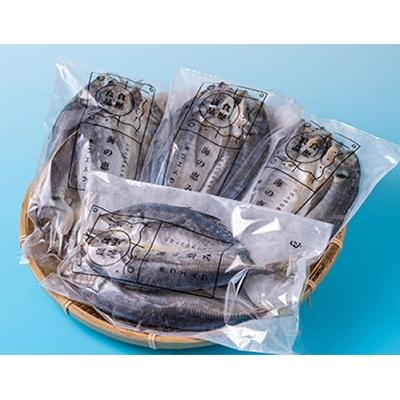 ふるさと納税 対馬市 対馬五月真あじ一汐干し (FB-3)