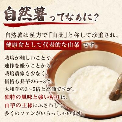 ふるさと納税 日出町 【数量限定】日出町産自然薯「ねばりごし一本」 (800g) |  | 02