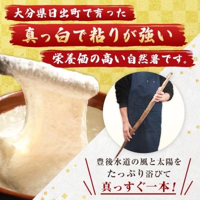 ふるさと納税 日出町 【数量限定】日出町産自然薯「ねばりごし一本」 (1kg) |  | 01
