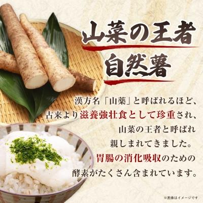 ふるさと納税 日出町 【数量限定】日出町産自然薯「ねばりごし一本」 (1kg) |  | 03