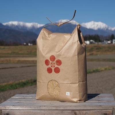 ふるさと納税 池田町 栽培期間中農薬・化学肥料不使用 はぜ掛け(天日干し) コシヒカリ 玄米 3kg