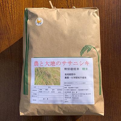 ふるさと納税 登米市 ササニシキ白米5kg(宮城県認証栽培期間中農薬・化学肥料不使用栽培)