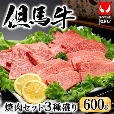 ふるさと納税 豊岡市 「但馬ビーフはまだ」極上但馬牛焼肉セット3種盛り(600g)