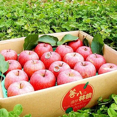 ふるさと納税 南部町 青森南部町産 [濃厚りんご] サンふじ 家庭用(規格外品) 約5kg