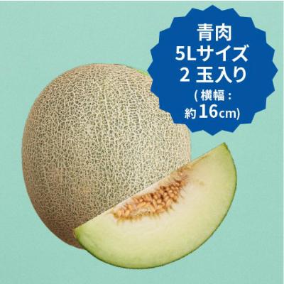 ふるさと納税 旭市 [2026年分先行予約]飯岡メロン 5Lサイズ(約1.7kg)×2玉セット(計約3.4kg)