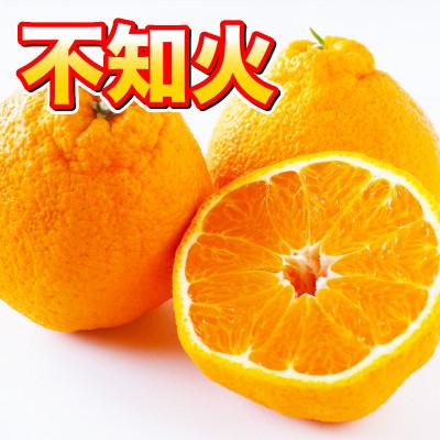 ふるさと納税 水俣市 不知火 約3kg(水俣市)