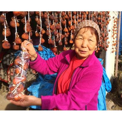 ふるさと納税 須賀川市 蜂屋柿の手作り干し柿10個 昔ながらの天日干し半熟あんぽ柿 ひも付き