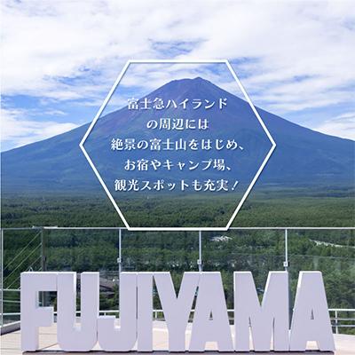 ふるさと納税 都留市 富士急ハイランド　フリーパス　ペアチケット |  | 03