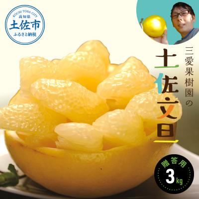 ふるさと納税 土佐市 三愛果樹園の土佐文旦 贈答用約3kg