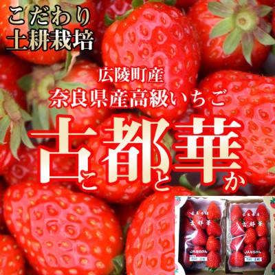 ふるさと納税 広陵町 奈良県産いちご 古都華(ことか)農家直送!2パック入り[2026年2月以降発送]
