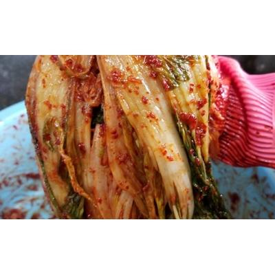ふるさと納税 豊前市 創業64年・焼肉屋さんの本格無添加手作りキムチ (カット済み)