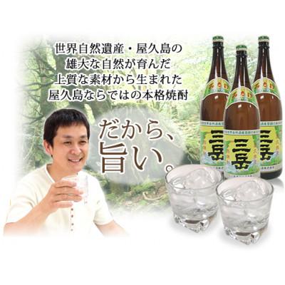 ふるさと納税 屋久島町 原酒三岳720ml・水ノ森720ml・三岳900ml・森の紅茶(3種類)セット詰め合わせ_2