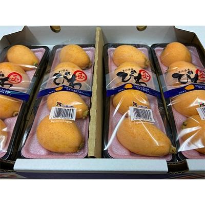 ふるさと納税 観音寺市 【先行受付2027年】なつたより(びわ)　約1kg |  | 02