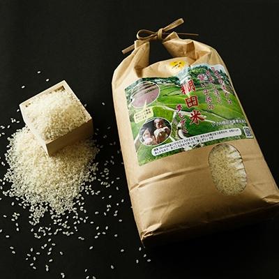 ふるさと納税 多久市 令和7年産 ひらの棚田米夢しずく 精米白米9kg (4.5kg2個)