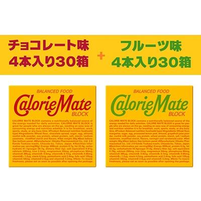 ふるさと納税 那賀町 「大塚製薬」カロリーメイトブロック フルーツ味30箱・チョコレート味30箱 計60箱