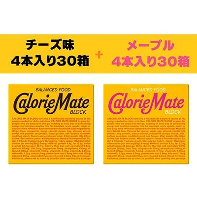 ふるさと納税 那賀町 「大塚製薬」カロリーメイトブロック メープル味30箱・チーズ味30箱 計60箱