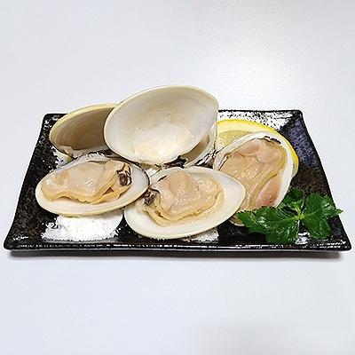ふるさと納税 白子町 九十九里産　はまぐり　4.0kg【季節のお試し特産品付き】 |  | 02