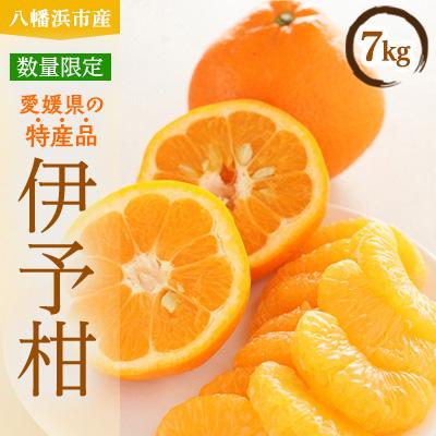 ふるさと納税 八幡浜市 八幡浜産・伊予柑7kg[数量限定!][C56-9]